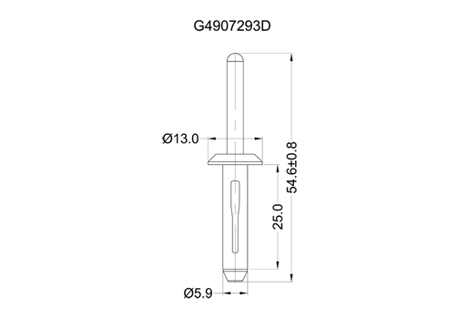 G4907293D 2D 503X350.jpg